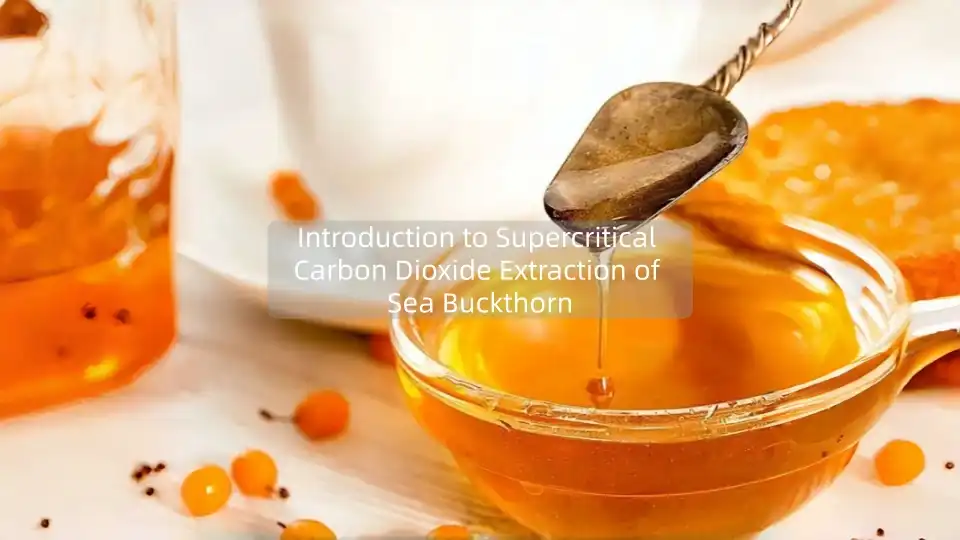 Introduction to Supercritical Carbon Dioxide Extraction of Sea Buckthorn